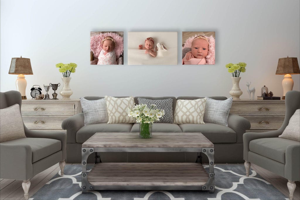 Evie Collection - Canvas