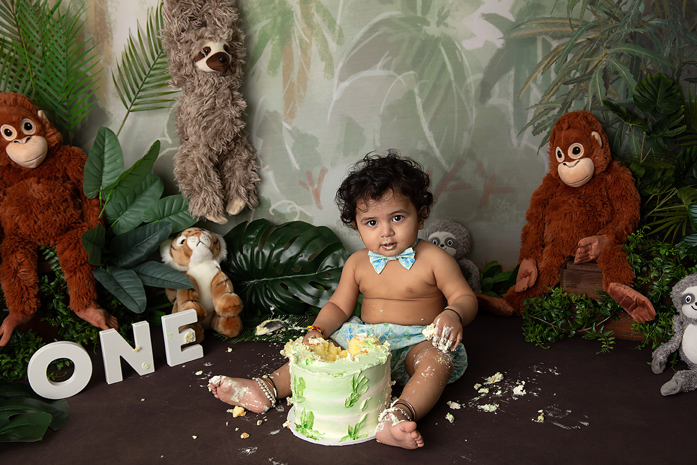 Cake smash jungle