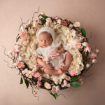 Brisbane Newborn photographer, sleeping newborn in basket with flowers